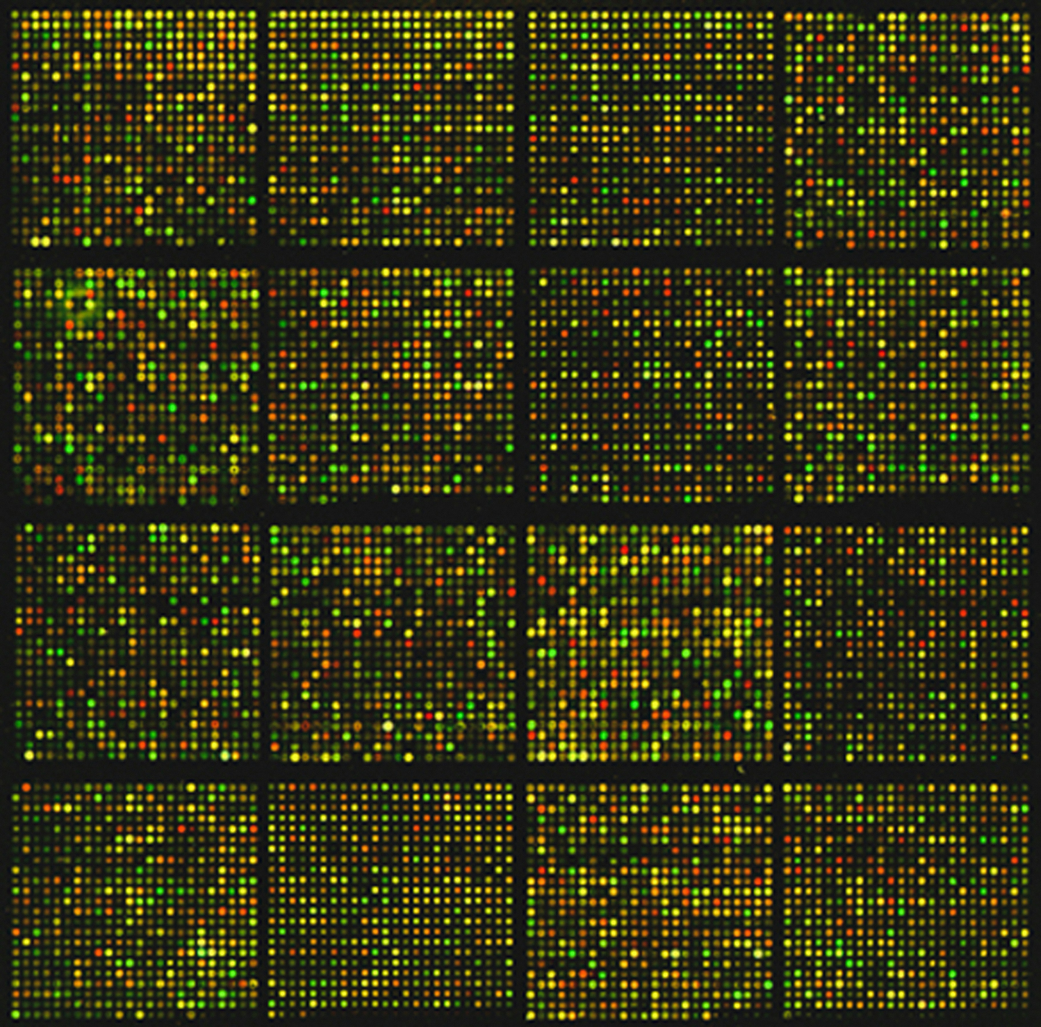 Omics Services